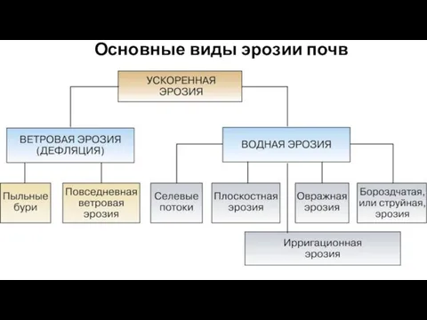 Основные виды эрозии почв