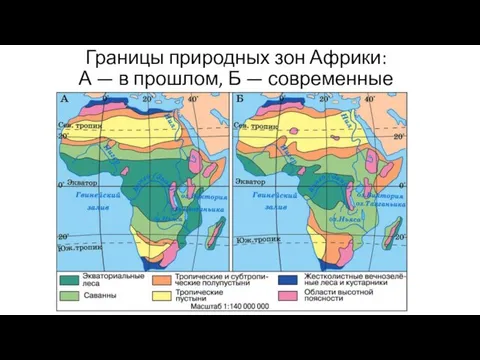 Границы природных зон Африки: А — в прошлом, Б — современные