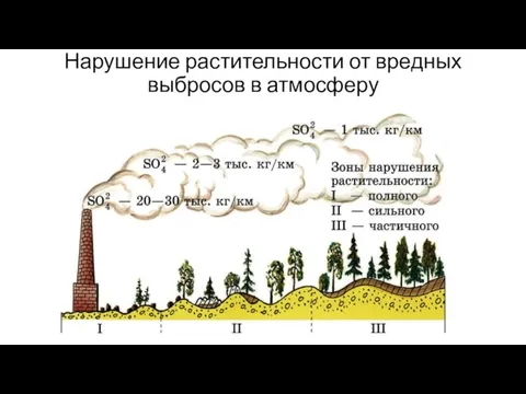 Нарушение растительности от вредных выбросов в атмосферу