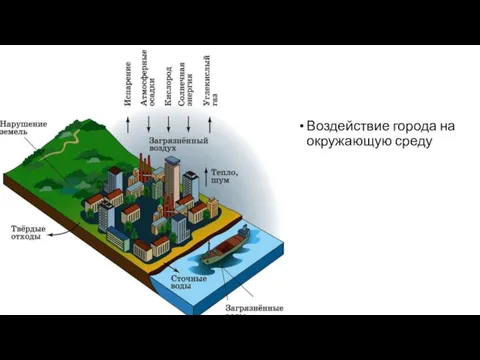 Воздействие города на окружающую среду