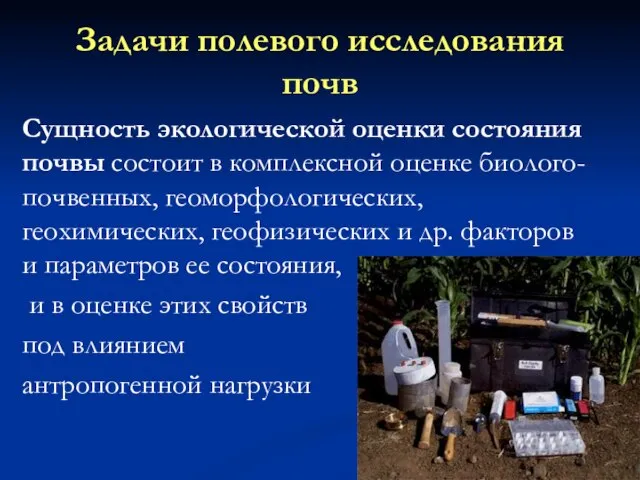 Задачи полевого исследования почв Сущность экологической оценки состояния почвы состоит в