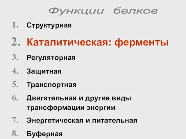 Структурная Каталитическая: ферменты Регуляторная Защитная Транспортная Двигательная и другие виды трансформации