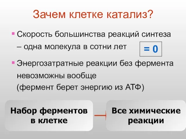 Зачем клетке катализ? Скорость большинства реакций синтеза – одна молекула в