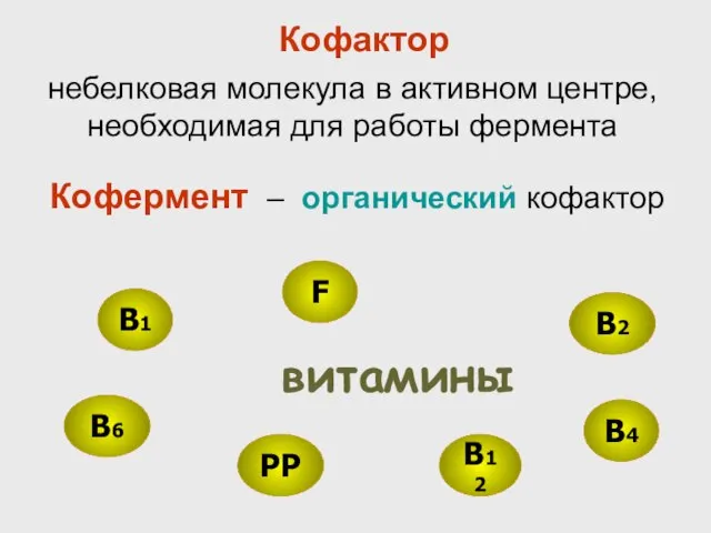 B4 F B1 B12 B6 PP В2 витамины Кофермент – органический