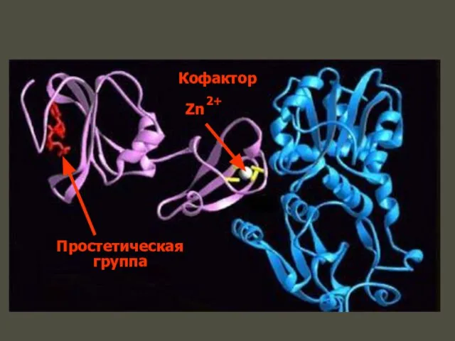 Кофактор Простетическая группа