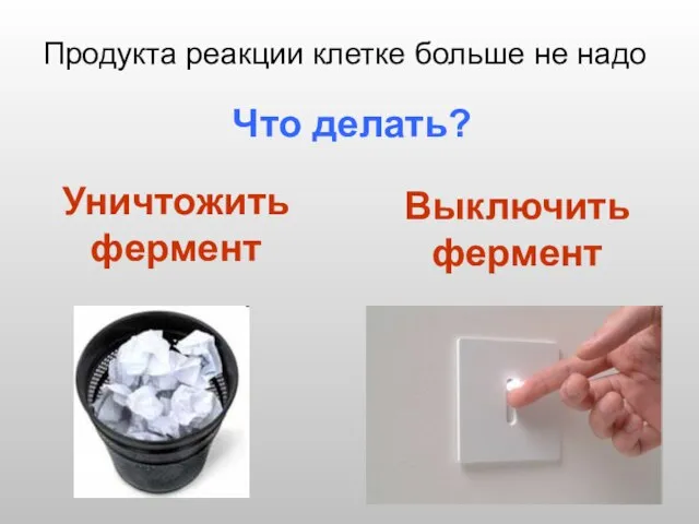 Продукта реакции клетке больше не надо Что делать?