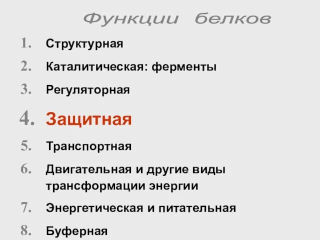 Структурная Каталитическая: ферменты Регуляторная Защитная Транспортная Двигательная и другие виды трансформации