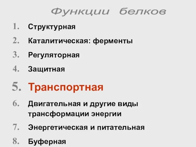 Структурная Каталитическая: ферменты Регуляторная Защитная Транспортная Двигательная и другие виды трансформации