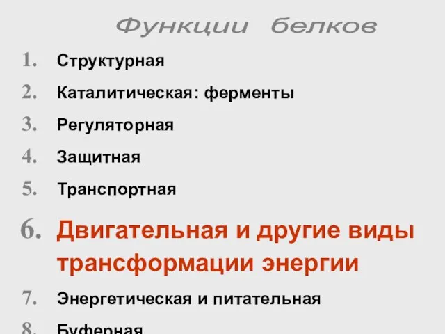 Структурная Каталитическая: ферменты Регуляторная Защитная Транспортная Двигательная и другие виды трансформации