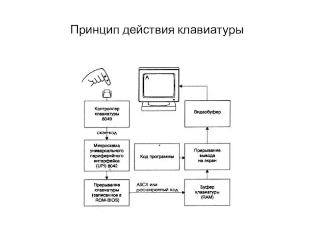 Принцип действия клавиатуры