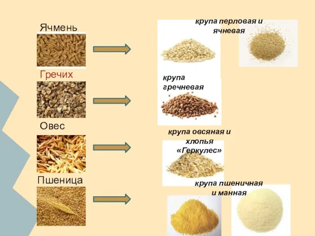 Ячмень Гречиха Овес Пшеница крупа гречневая крупа овсяная и хлопья «Геркулес»