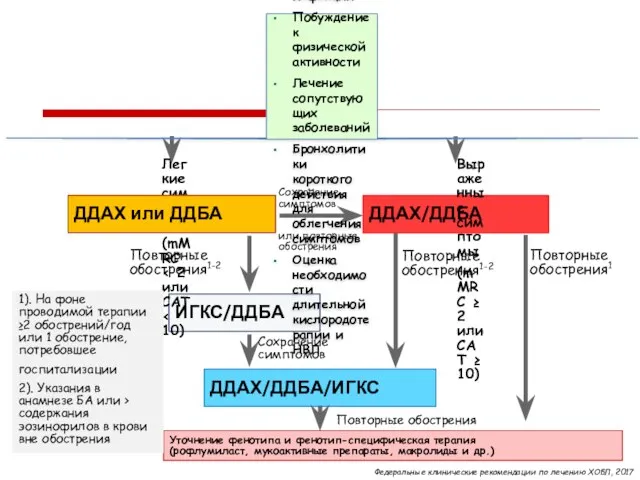 ДДАХ/ДДБА ИГКС/ДДБА ДДАХ/ДДБА/ИГКС Уточнение фенотипа и фенотип-специфическая терапия (рофлумиласт, мукоактивные препараты,