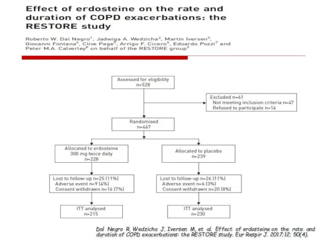 Dal Negro R, Wedzicha J, Iversen M, et al. Effect of