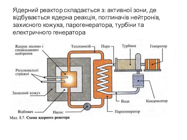 Ядерний реактор складається з: активної зони, де відбувається ядерна реакція, поглиначів