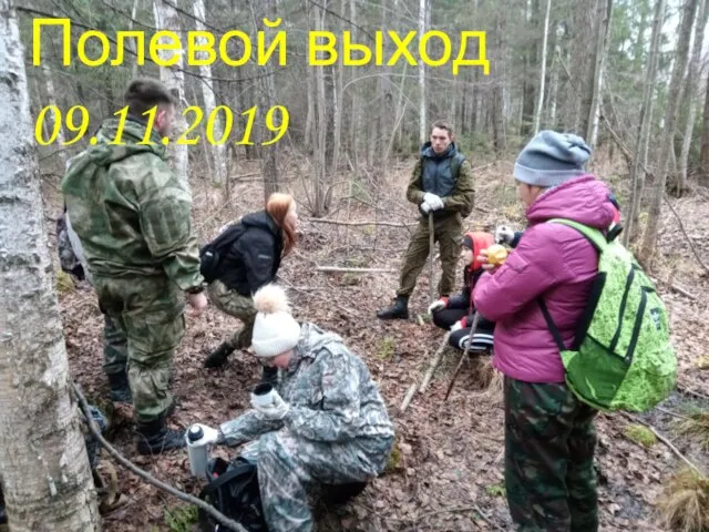 Полевой выход 09.11.2019