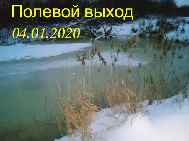 Полевой выход 04.01.2020