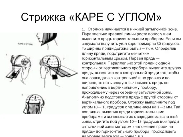 Стрижка «КАРЕ С УГЛОМ» 1. Стрижка начинается в нижней затылочной зоне.