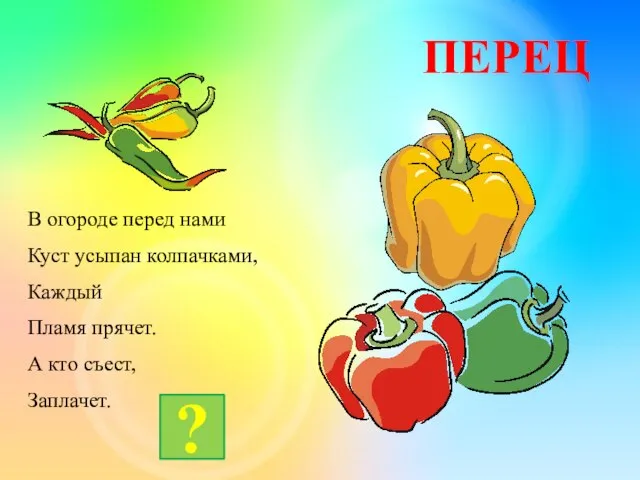 ПЕРЕЦ В огороде перед нами Куст усыпан колпачками, Каждый Пламя прячет. А кто съест, Заплачет. ?