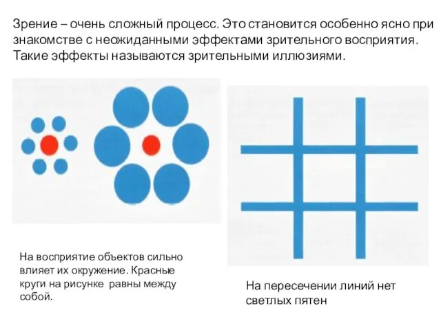 Зрение – очень сложный процесс. Это становится особенно ясно при знакомстве