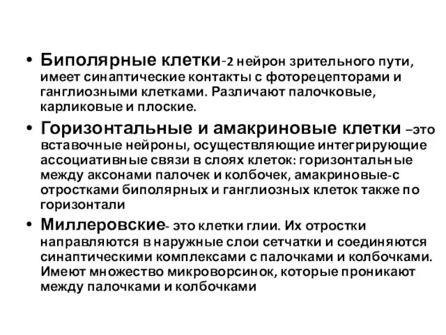 Биполярные клетки-2 нейрон зрительного пути, имеет синаптические контакты с фоторецепторами и