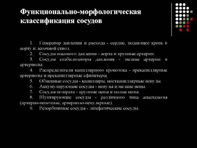 Функционально-морфологическая классификация сосудов