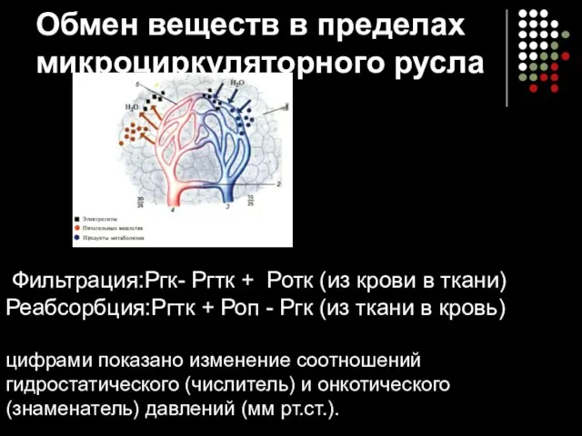 Обмен веществ в пределах микроциркуляторного русла Фильтрация:Pгк- Ргтк + Ротк (из