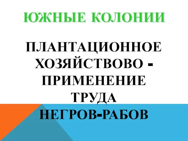 ЮЖНЫЕ КОЛОНИИ ПЛАНТАЦИОННОЕ ХОЗЯЙСТВОВО - ПРИМЕНЕНИЕ ТРУДА НЕГРОВ-РАБОВ