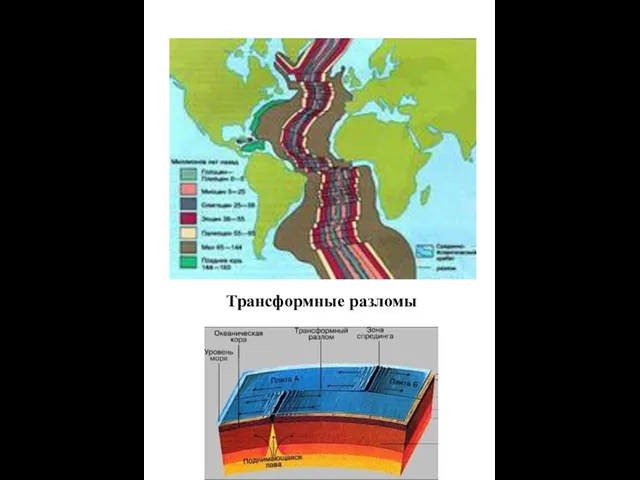 Трансформные разломы