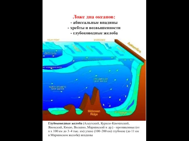 Ложе дна океанов: - абиссальные впадины - хребты и возвышенности -