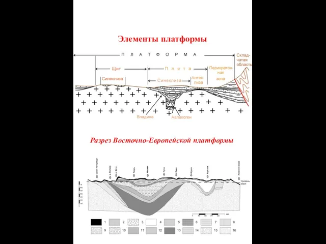 Элементы платформы Разрез Восточно-Европейской платформы