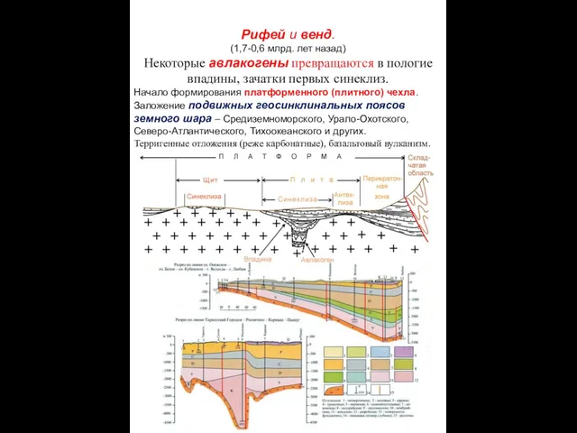 Рифей и венд. (1,7-0,6 млрд. лет назад) Некоторые авлакогены превращаются в