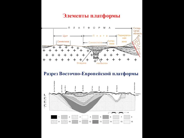 Элементы платформы Разрез Восточно-Европейской платформы