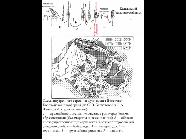Схема внутреннего строения фундамента Восточно-Европейской платформы (по С. В. Богдановой и