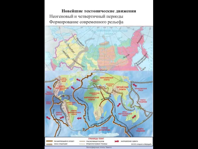 Новейшие тектонические движения Неогеновый и четвертичный периоды Формирование современного рельефа