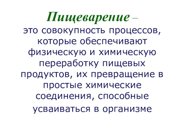 Пищеварение – это совокупность процессов, которые обеспечивают физическую и химическую переработку