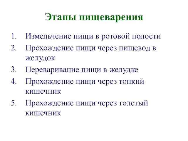 Этапы пищеварения Измельчение пищи в ротовой полости Прохождение пищи через пищевод