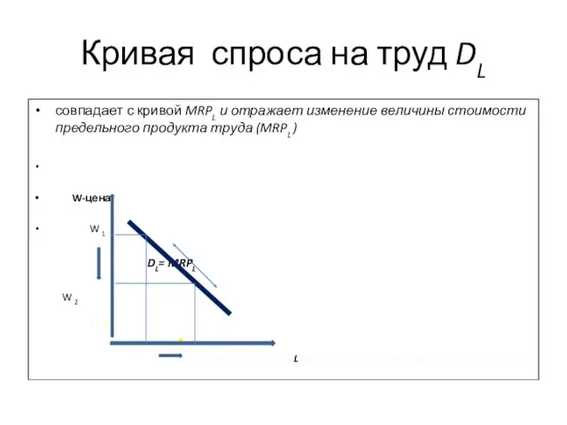 Кривая спроса на труд DL совпадает с кривой MRPL и отражает