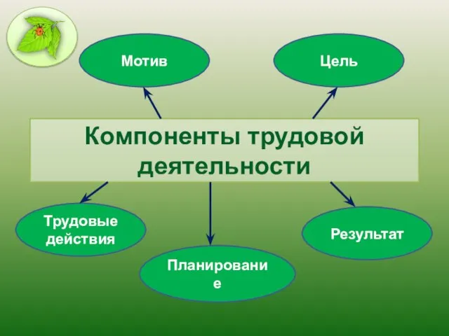 Компоненты трудовой деятельности Мотив Цель Планирование Трудовые действия Результат