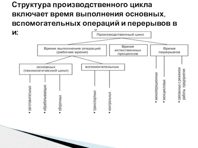 Структура производственного цикла включает время выполнения основных, вспомогательных операций и перерывов в изготовлении изделий