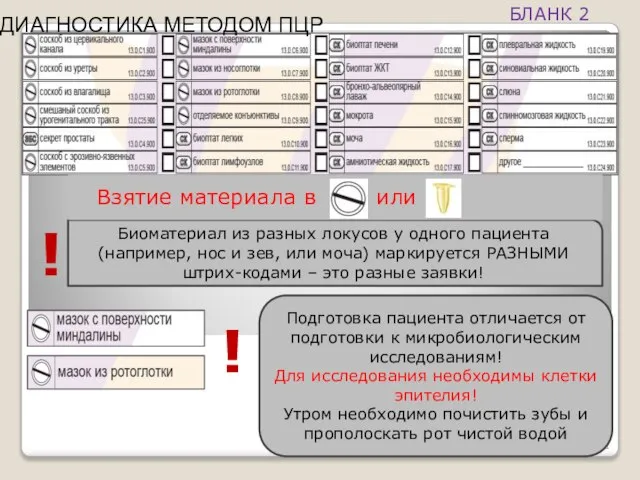 Биоматериал из разных локусов у одного пациента (например, нос и зев,