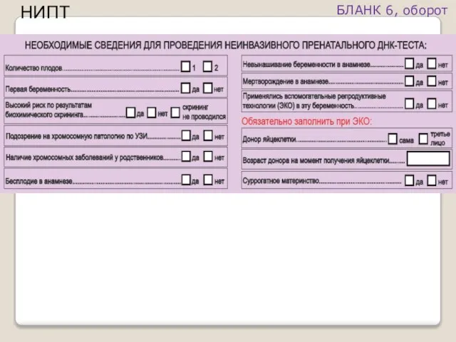 БЛАНК 6, оборот НИПТ