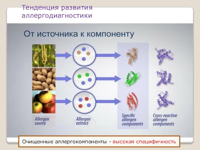 Тенденция развития аллергодиагностики Очищенные аллергокомпоненты - высокая специфичность