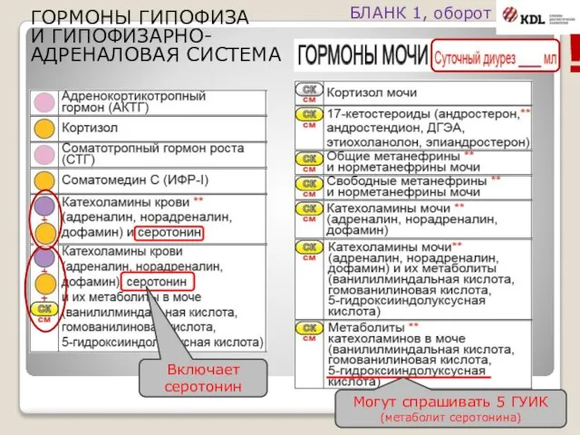 ГОРМОНЫ ГИПОФИЗА И ГИПОФИЗАРНО-АДРЕНАЛОВАЯ СИСТЕМА БЛАНК 1, оборот ! Могут спрашивать