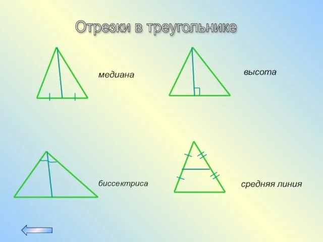 Отрезки в треугольнике медиана высота биссектриса средняя линия