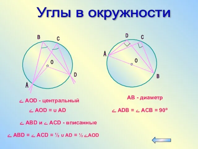 Углы в окружности A B С О D A B С