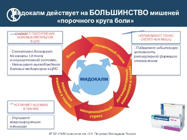 Мидокалм действует на БОЛЬШИНСТВО мишеней «порочного круга боли» - Подавляет избыточную