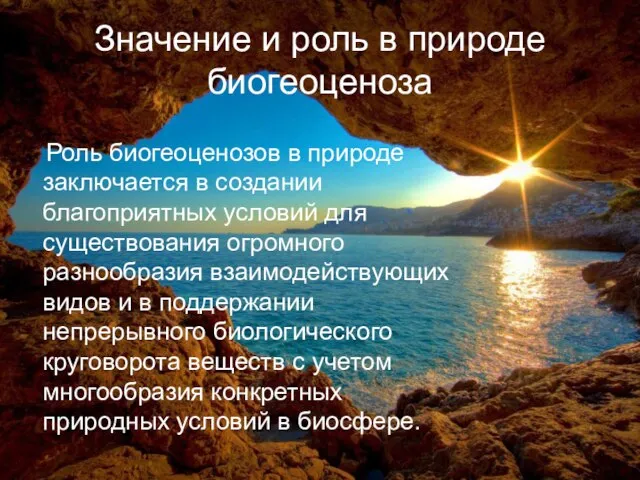 Значение и роль в природе биогеоценоза Роль биогеоценозов в природе заключается