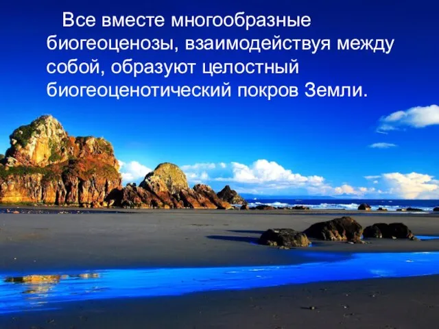 Все вместе многообразные биогеоценозы, взаимодействуя между собой, образуют целостный биогеоценотический покров Земли.