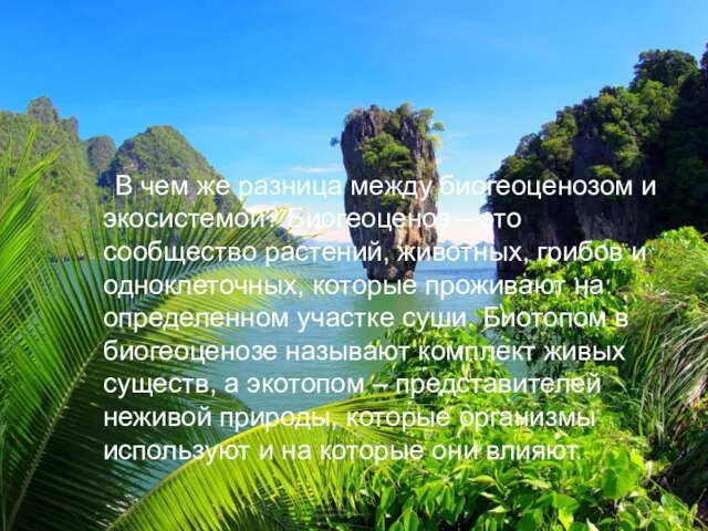 В чем же разница между биогеоценозом и экосистемой? Биогеоценоз – это