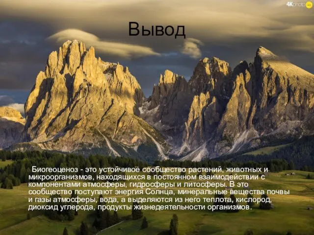 Вывод Биогеоценоз - это устойчивое сообщество растений, животных и микроорганизмов, находящихся